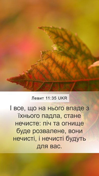 Левит 11:35 UKR Bible Verse Image