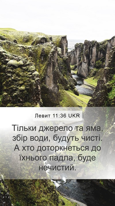 Левит 11:36 UKR Mobile Phone Wallpaper - Тільки джерело та яма, збір - Mobile Bible Verse Wallpaper