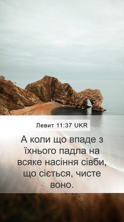 Левит 11:37 UKR Mobile Phone Wallpaper - А коли що впаде з їхнього - Mobile Bible Verse Wallpaper