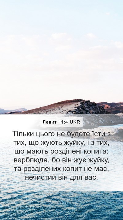 Левит 11:4 UKR Mobile Phone Wallpaper - Тільки цього не будете - Mobile Bible Verse Wallpaper