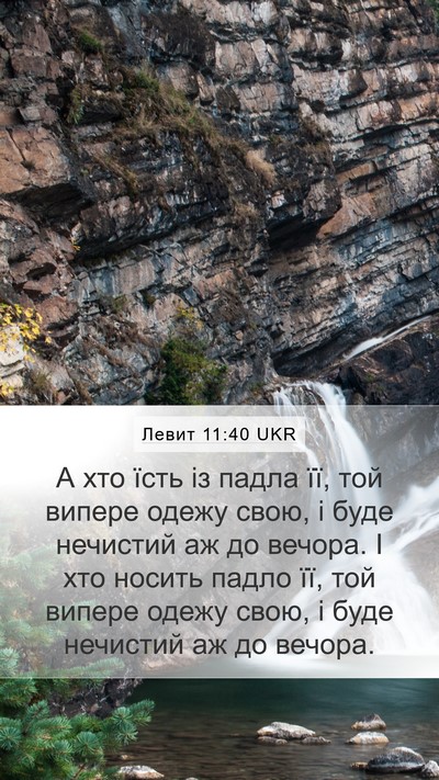 Левит 11:40 UKR Bible Verse Image