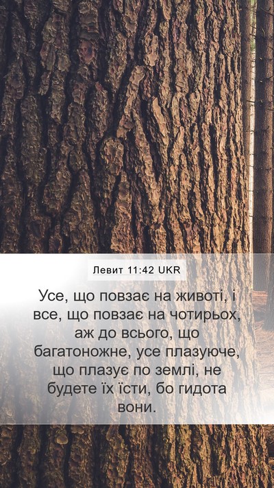 Левит 11:42 UKR Bible Verse Image
