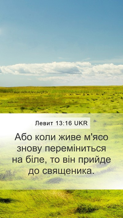 Левит 13:16 UKR Mobile Phone Wallpaper - Або коли живе м'ясо знову - Mobile Bible Verse Wallpaper