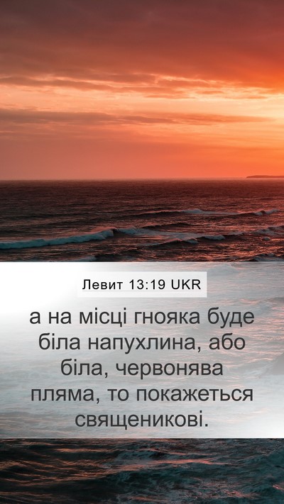 Левит 13:19 UKR Bible Verse Image