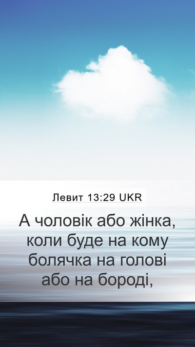 Левит 13:29 UKR Bible Verse Image