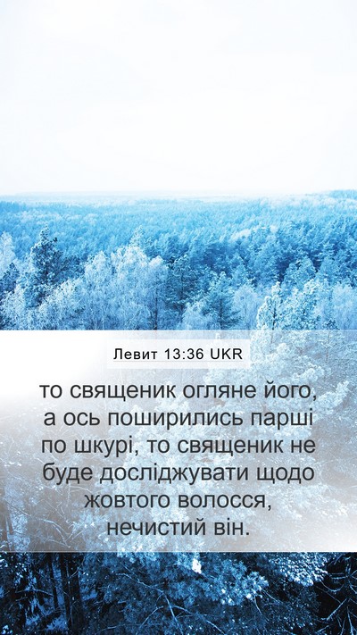Левит 13:36 UKR Bible Verse Image
