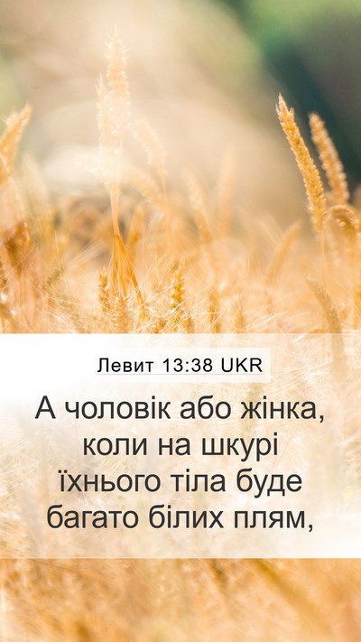 Левит 13:38 UKR Mobile Phone Wallpaper - А чоловік або жінка, коли - Mobile Bible Verse Wallpaper