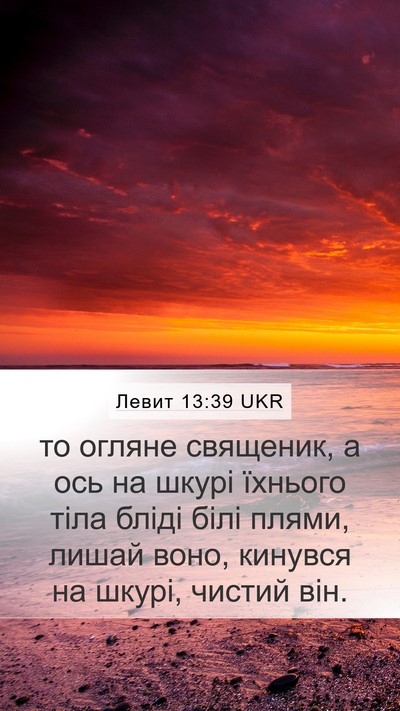Левит 13:39 UKR Mobile Phone Wallpaper - то огляне священик, а ось - Mobile Bible Verse Wallpaper