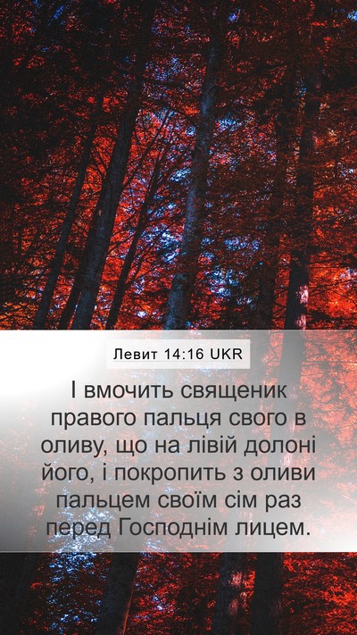 Левит 14:16 UKR Mobile Phone Wallpaper - І вмочить священик правого - Mobile Bible Verse Wallpaper