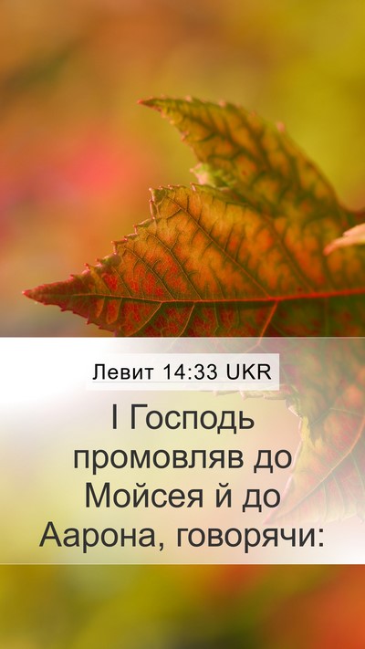 Левит 14:33 UKR Mobile Phone Wallpaper - І Господь промовляв до - Mobile Bible Verse Wallpaper