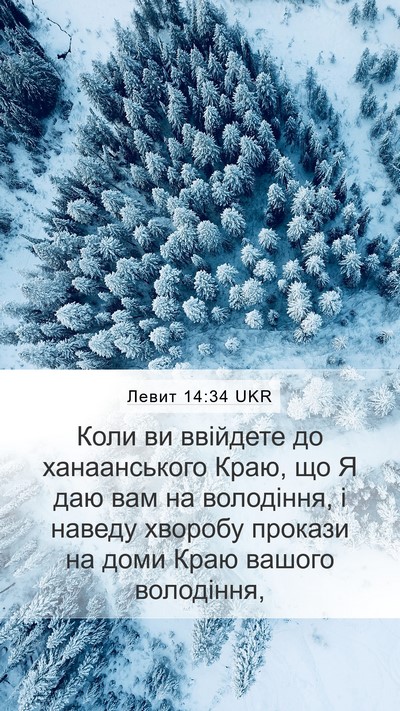 Левит 14:34 UKR Bible Verse Image