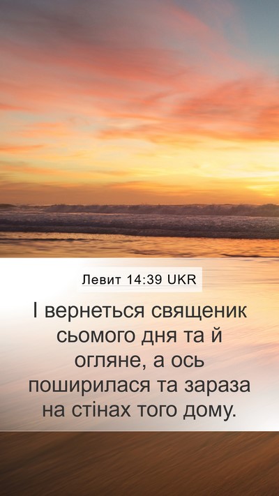Левит 14:39 UKR Mobile Phone Wallpaper - І вернеться священик - Mobile Bible Verse Wallpaper