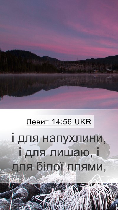 Левит 14:56 UKR Bible Verse Image