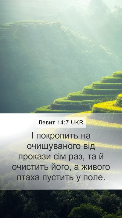 Левит 14:7 UKR Bible Verse Image