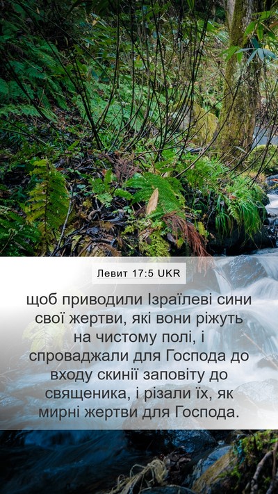 Левит 17:5 UKR Mobile Phone Wallpaper - щоб приводили Ізраїлеві - Mobile Bible Verse Wallpaper
