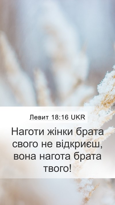 Левит 18:16 UKR Bible Verse Image