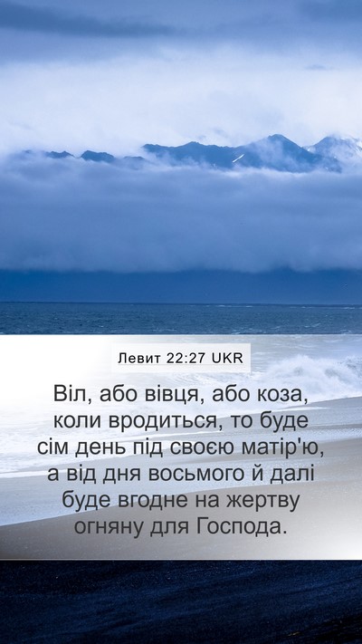 Левит 22:27 UKR Mobile Phone Wallpaper - Віл, або вівця, або коза, - Mobile Bible Verse Wallpaper