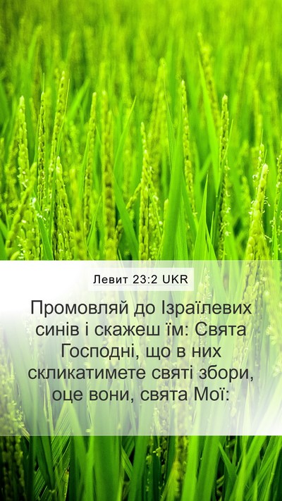 Левит 23:2 UKR Bible Verse Image