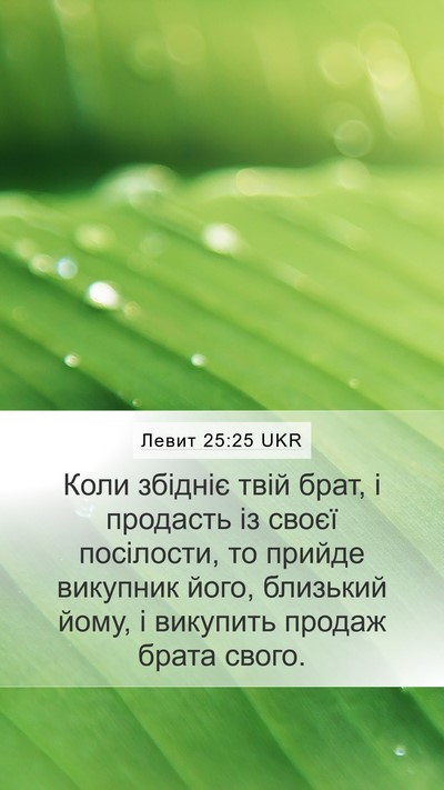 Левит 25:25 UKR Bible Verse Image