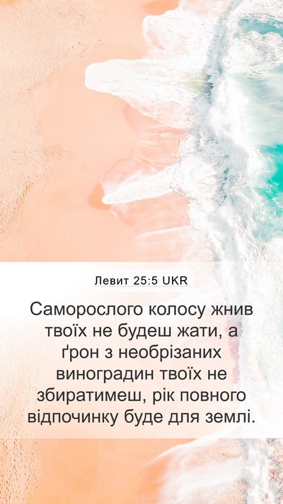 Левит 25:5 UKR Mobile Phone Wallpaper - Саморослого колосу жнив - Mobile Bible Verse Wallpaper