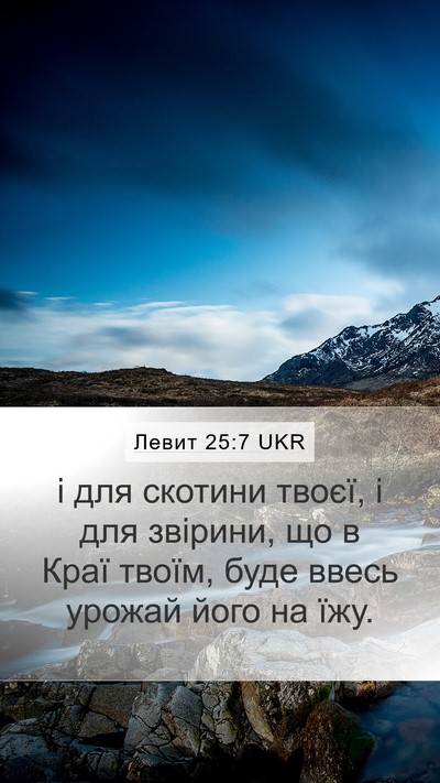 Левит 25:7 UKR Mobile Phone Wallpaper - і для скотини твоєї, і для - Mobile Bible Verse Wallpaper