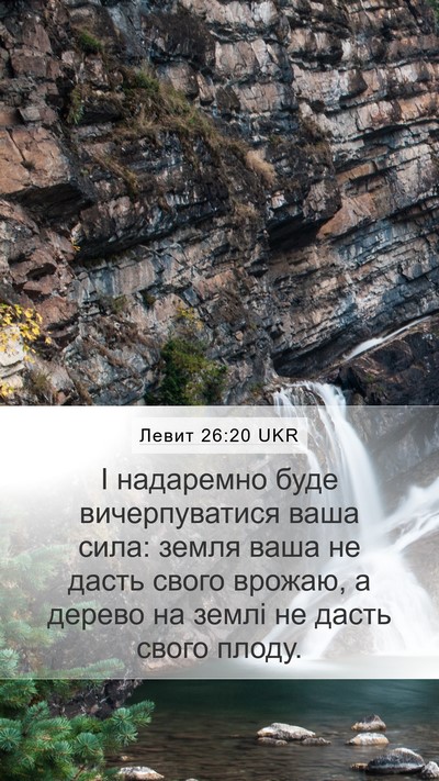 Левит 26:20 UKR Bible Verse Image