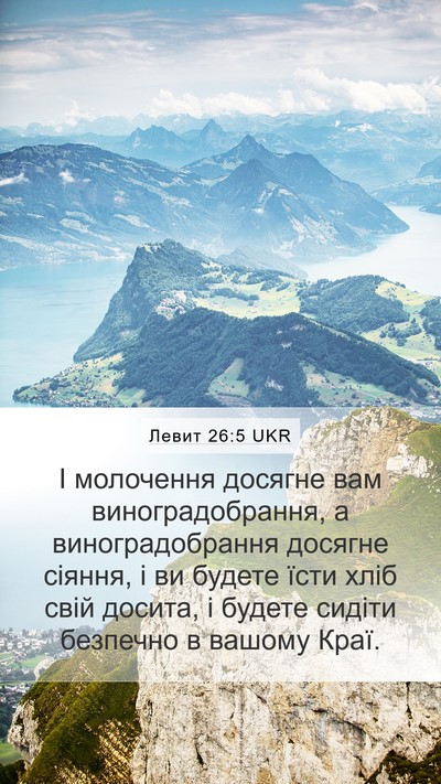 Левит 26:5 UKR Bible Verse Image