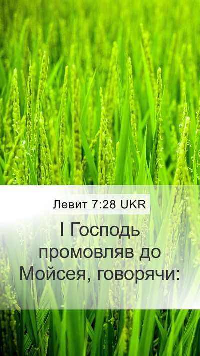 Левит 7:28 UKR Mobile Phone Wallpaper - І Господь промовляв до - Mobile Bible Verse Wallpaper