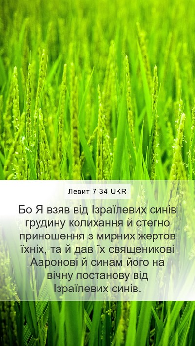 Левит 7:34 UKR Bible Verse Image