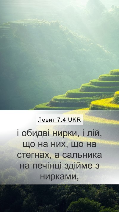 Левит 7:4 UKR Mobile Phone Wallpaper - і обидві нирки, і лій, що на - Mobile Bible Verse Wallpaper