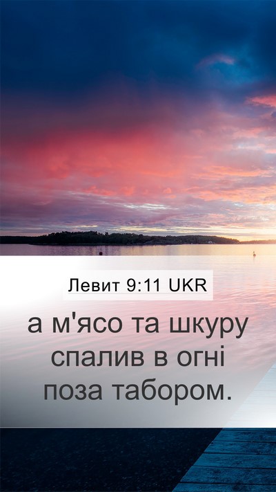 Левит 9:11 UKR Mobile Phone Wallpaper - а м'ясо та шкуру спалив в - Mobile Bible Verse Wallpaper