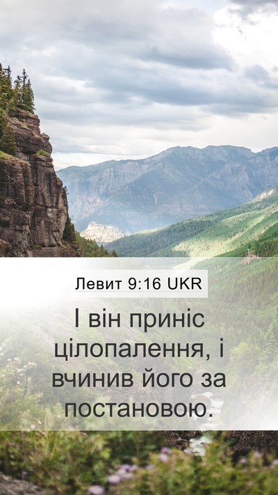 Левит 9:16 UKR Mobile Phone Wallpaper - І він приніс цілопалення, і - Mobile Bible Verse Wallpaper