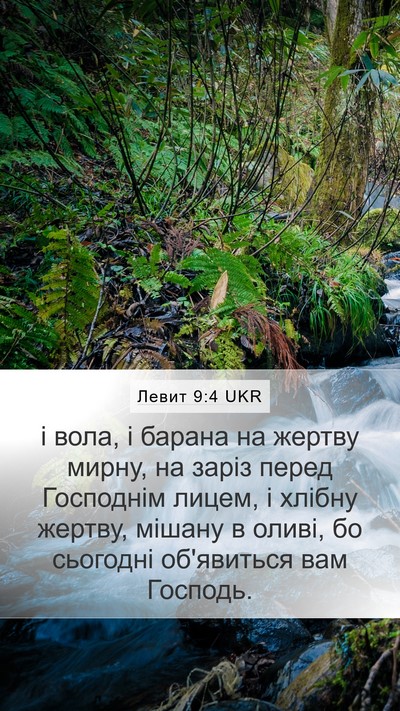 Левит 9:4 UKR Bible Verse Image
