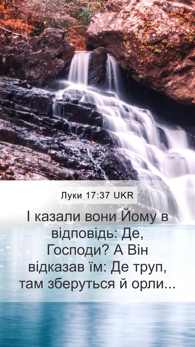 Луки 17:37 UKR Mobile Phone Wallpaper - І казали вони Йому в - Mobile Bible Verse Wallpaper