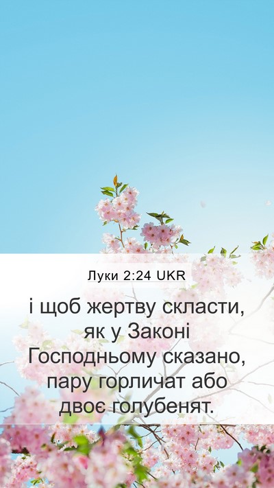 Луки 2:24 UKR Bible Verse Image