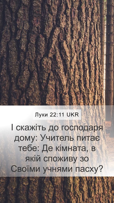 Луки 22:11 UKR Mobile Phone Wallpaper - І скажіть до господаря - Mobile Bible Verse Wallpaper