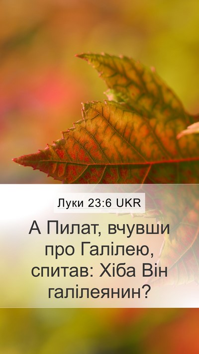 Луки 23:6 UKR Bible Verse Image