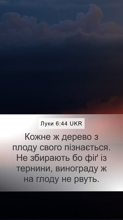 Луки 6:44 UKR Bible Verse Image