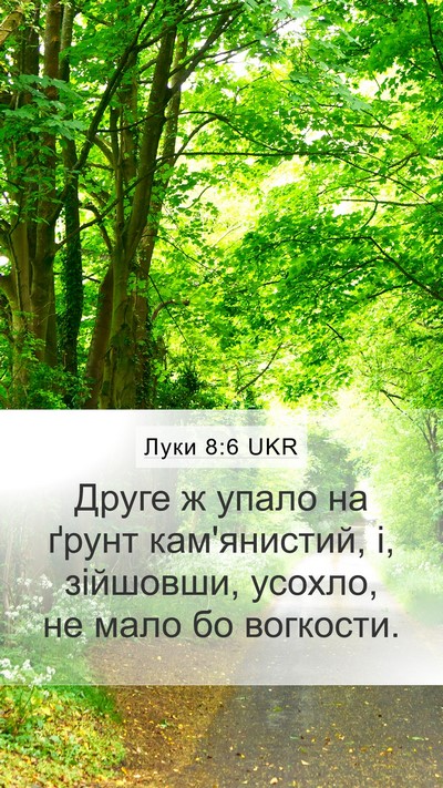 Луки 8:6 UKR Mobile Phone Wallpaper - Друге ж упало на ґрунт - Mobile Bible Verse Wallpaper