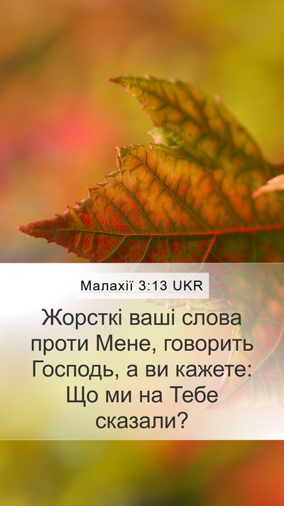 Малахії 3:13 UKR Mobile Phone Wallpaper - Жорсткі ваші слова проти - Mobile Bible Verse Wallpaper