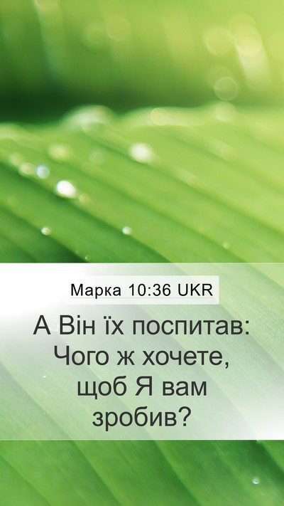 Марка 10:36 UKR Bible Verse Image