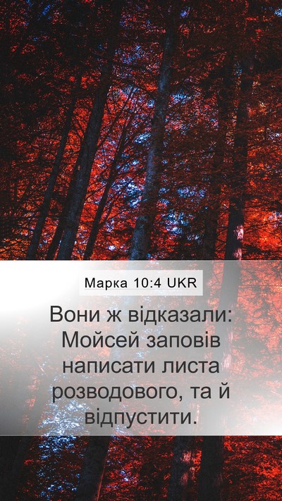 Марка 10:4 UKR Bible Verse Image