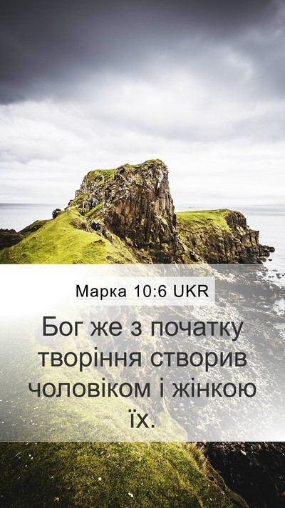 Марка 10:6 UKR Bible Verse Image