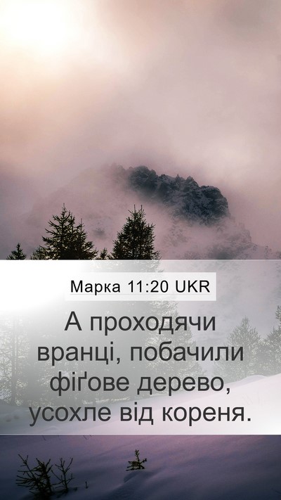 Марка 11:20 UKR Bible Verse Image
