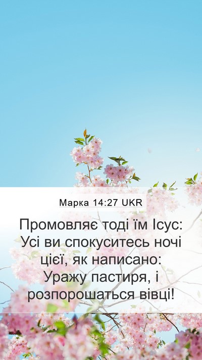 Марка 14:27 UKR Bible Verse Image
