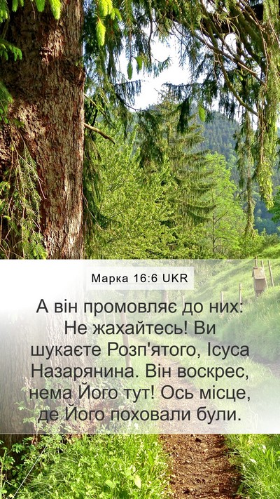 Марка 16:6 UKR Bible Verse Image