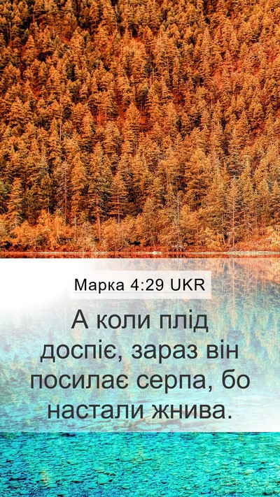 Марка 4:29 UKR Bible Verse Image