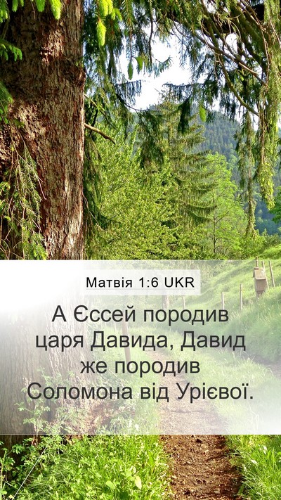 Матвія 1:6 UKR Bible Verse Image