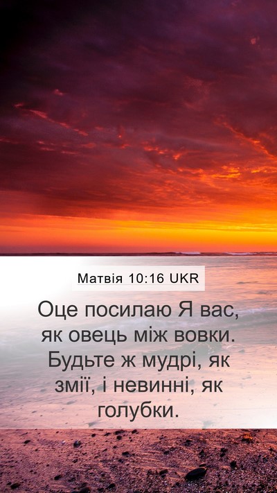 Матвія 10:16 UKR Bible Verse Image