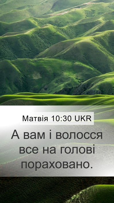 Матвія 10:30 UKR Bible Verse Image
